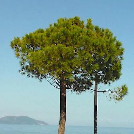 Lungomare Blue Sky