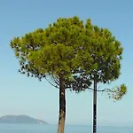 Lungomare Blue Sky