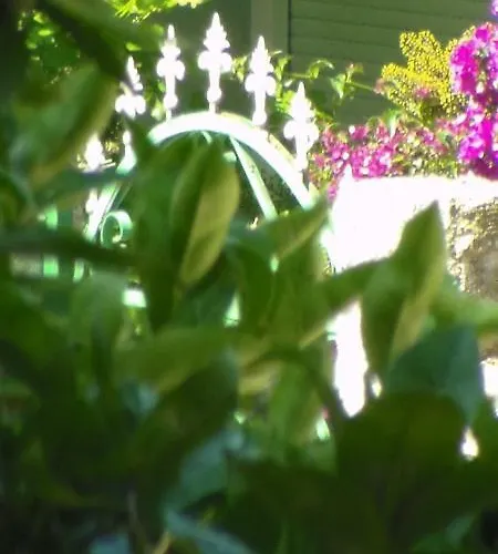 Lungomare Blue Sky Vlore